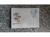 envelope-mushrooms