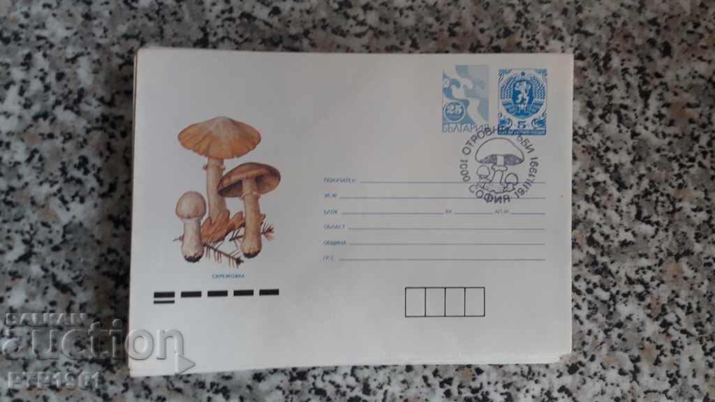 envelope-mushrooms