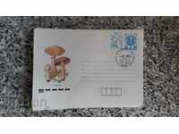envelope-mushrooms