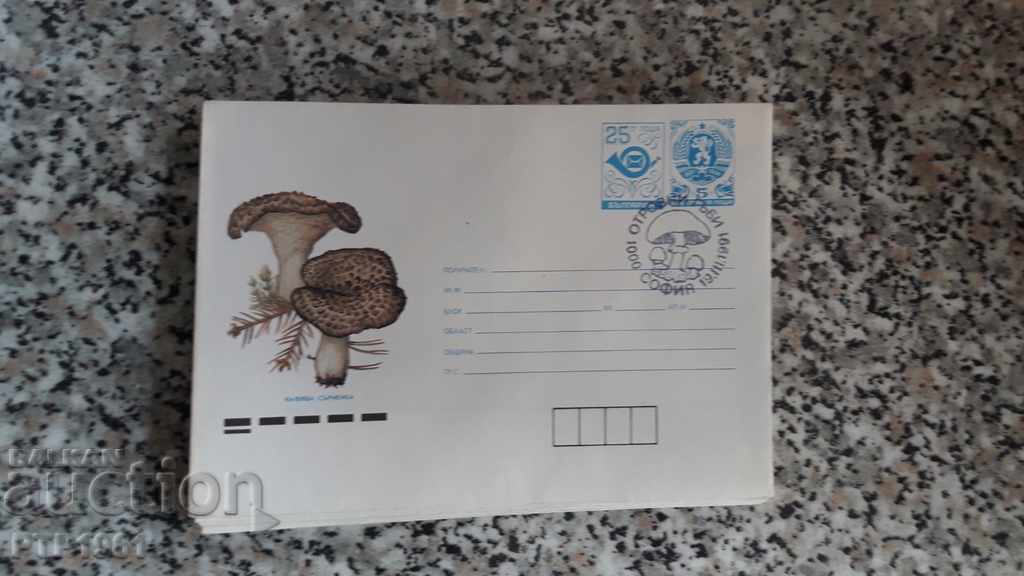 plic-ciuperci plic-ciuperci