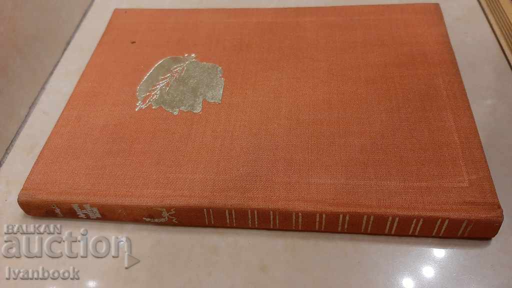 Dante in Exile - Cesare Marki with price 3.00 BGN | € 1.53 Dante in Exile - Cesare Marki with price 3.00 BGN | € 1.53