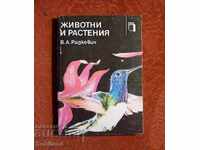 Животни и растения