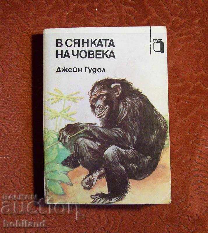 In the Shadow of Man