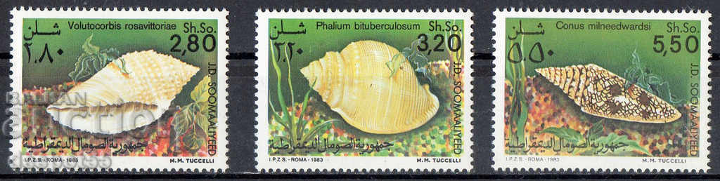 1984. Somalia. Mussels.