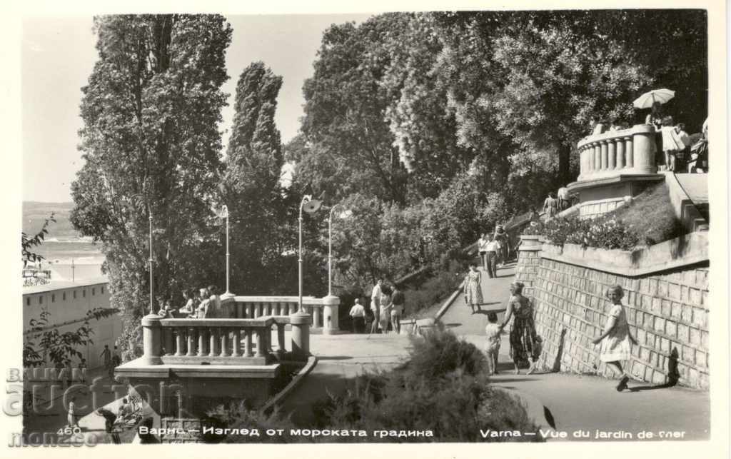 Carte poștală veche - Varna, Scările către băi