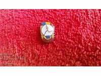 Old soc sports badge bronze enamel Romania