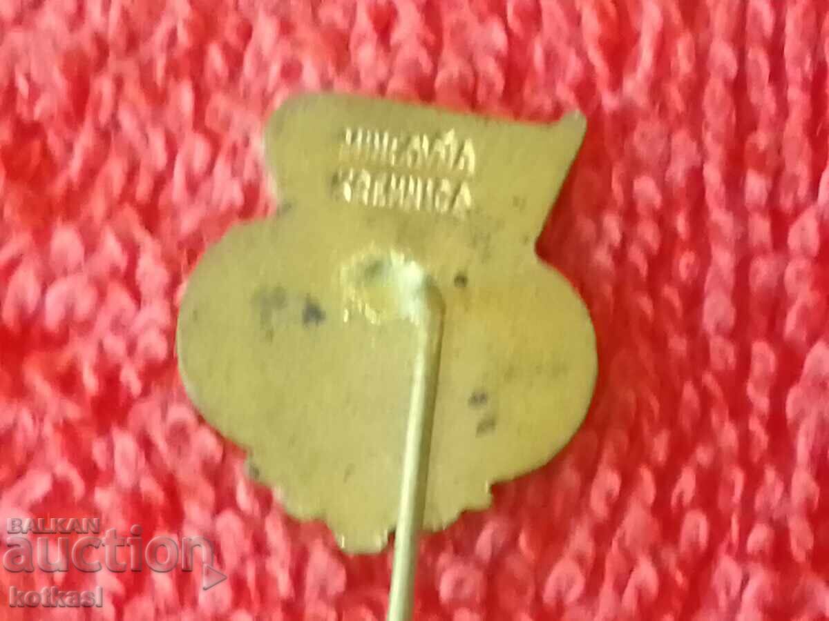 Auction Old sports metal brooch pin badge Czechoslovakia Auction Old sports metal brooch pin badge Czechoslovakia