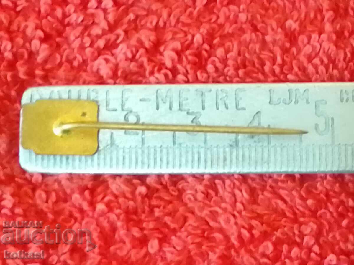 Old solid badge bronze pin PLZEN PLZEN with price 3.50 BGN | € 1.79