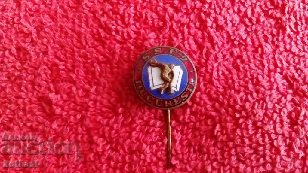 Delivery of Old sports badge bronze pin enamel Romania excellent