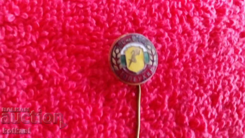 Auction Old badge bronze pin enamel OS of BSFS Tolbukhin Auction Old badge bronze pin enamel OS of BSFS Tolbukhin