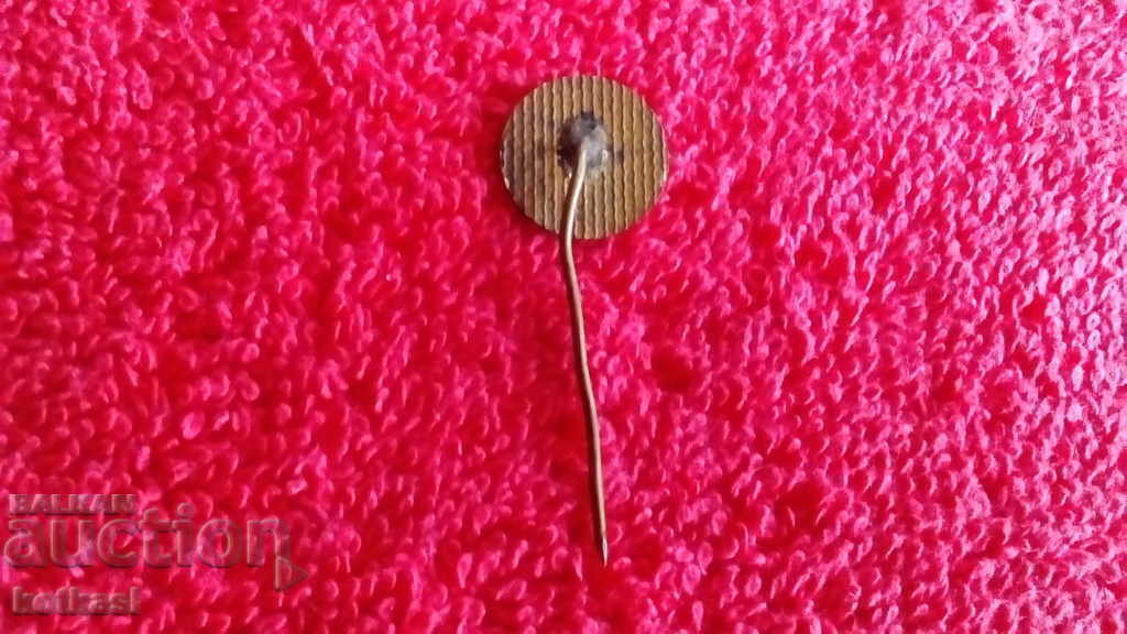 Old badge bronze pin enamel OS of BSFS Tolbukhin - 5 Old badge bronze pin enamel OS of BSFS Tolbukhin - 5