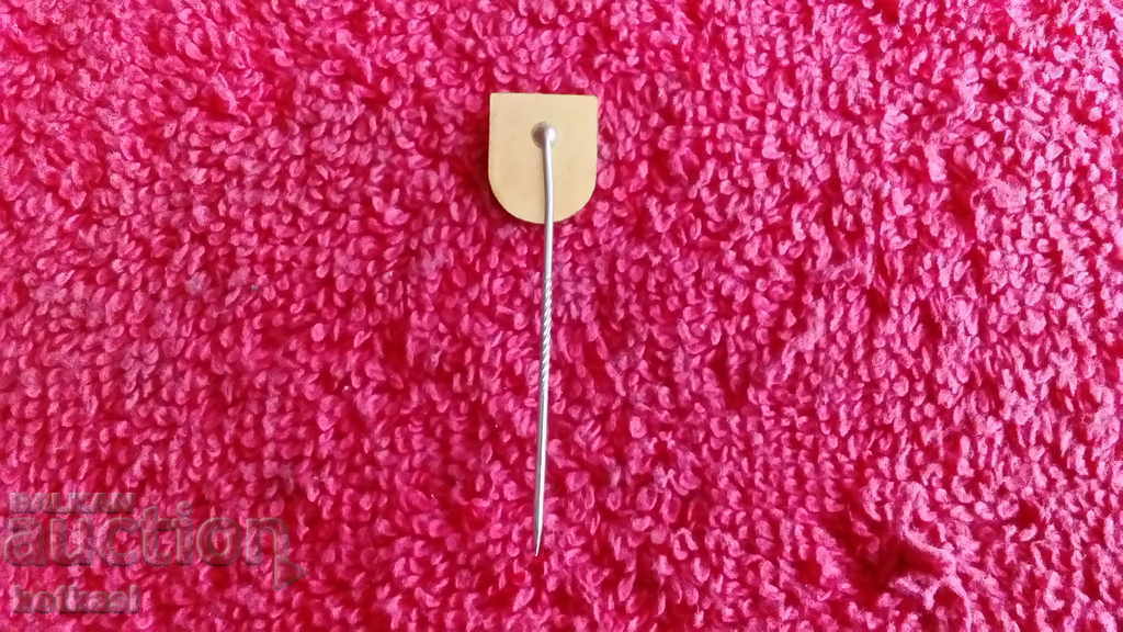 Delivery of Old Volleyball Federation badge pin Germany excellent