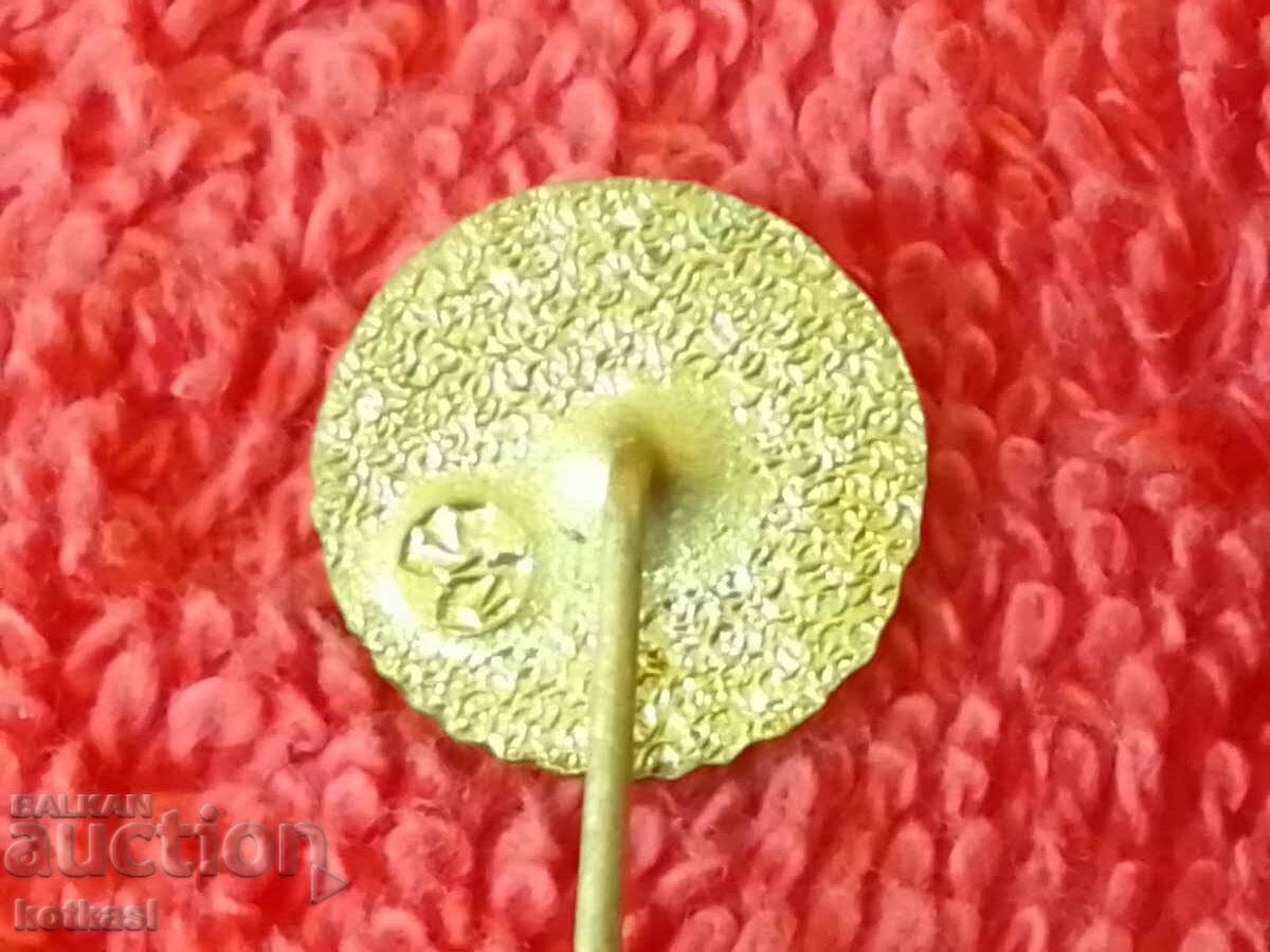 Auction  Old badge bronze pin ZA VLAST ZA SOCIALISMUS PUVB
