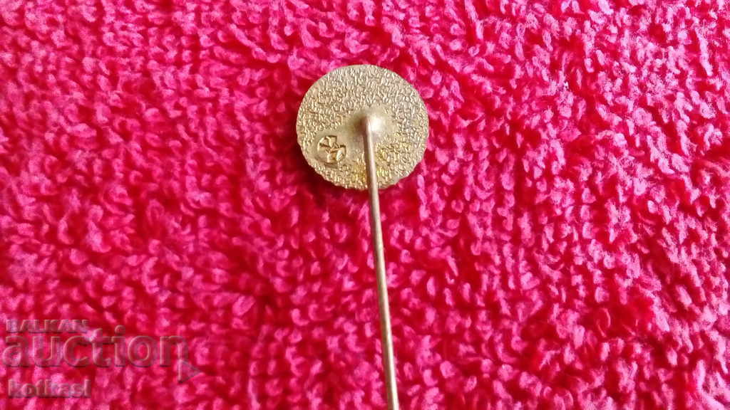 Old badge bronze pin ZA VLAST ZA SOCIALISMUS PUVB - 6