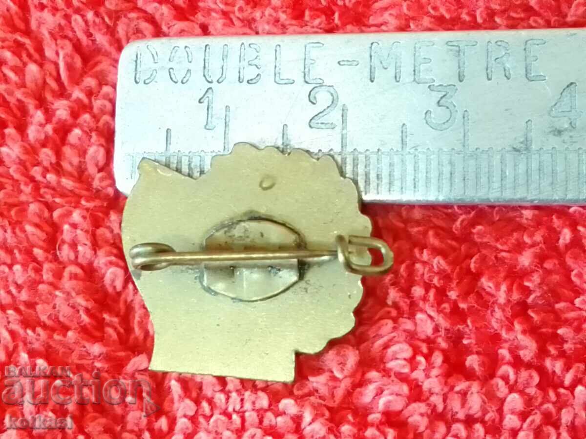 Old GDR Germany bronze enamel badge with price 3.50 BGN | € 1.79 Old GDR Germany bronze enamel badge with price 3.50 BGN | € 1.79