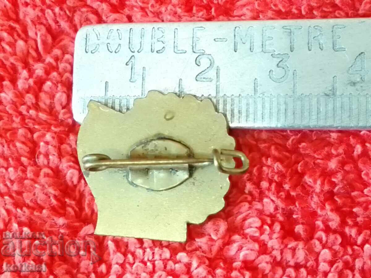 Veche insignă emailă din bronz din RDG Germania cu preț € 1.02 | 1.99 BGN Veche insignă emailă din bronz din RDG Germania cu preț € 1.02 | 1.99 BGN