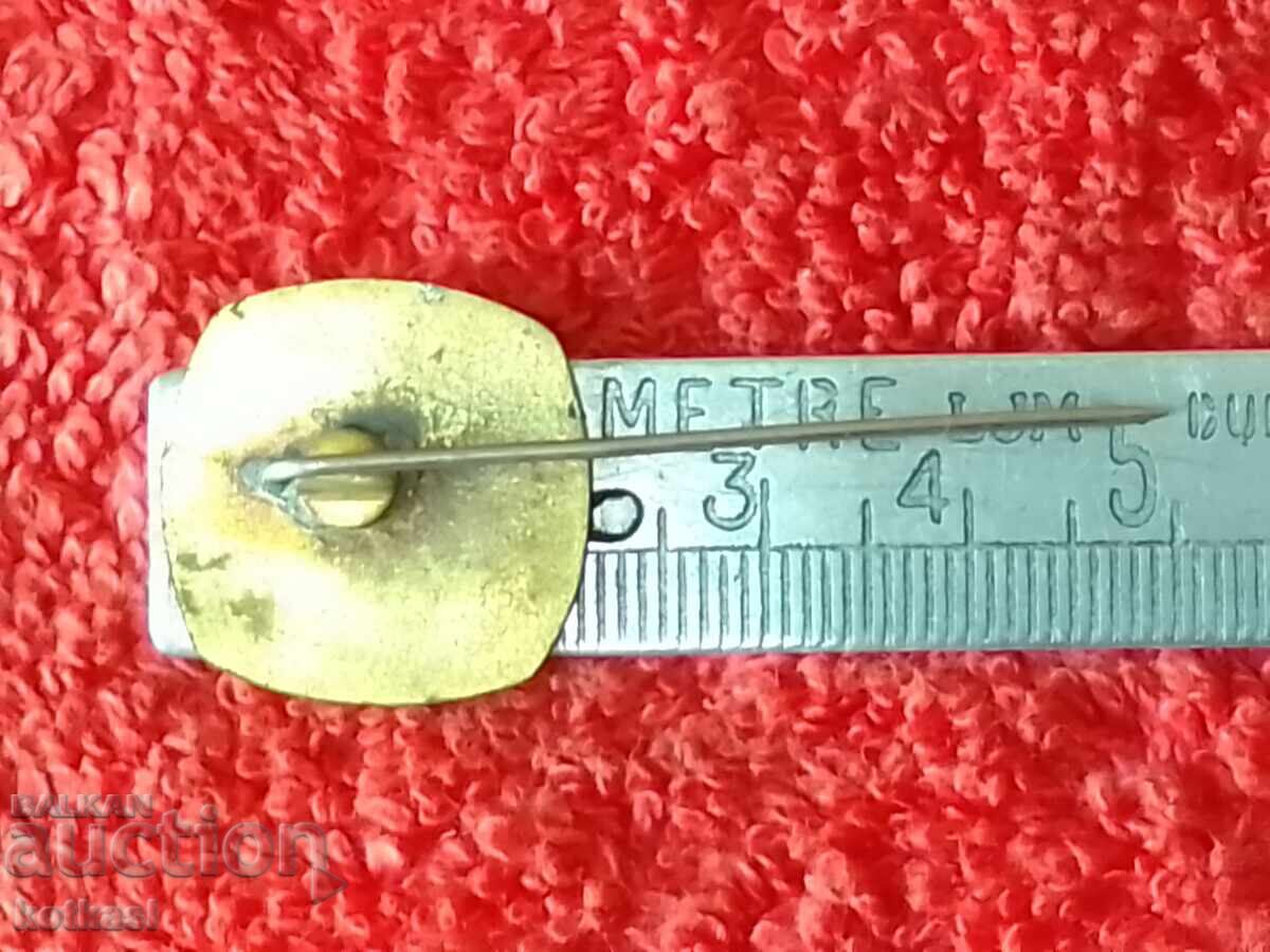 Auction Old badge bronze pin enamel Auction Old badge bronze pin enamel