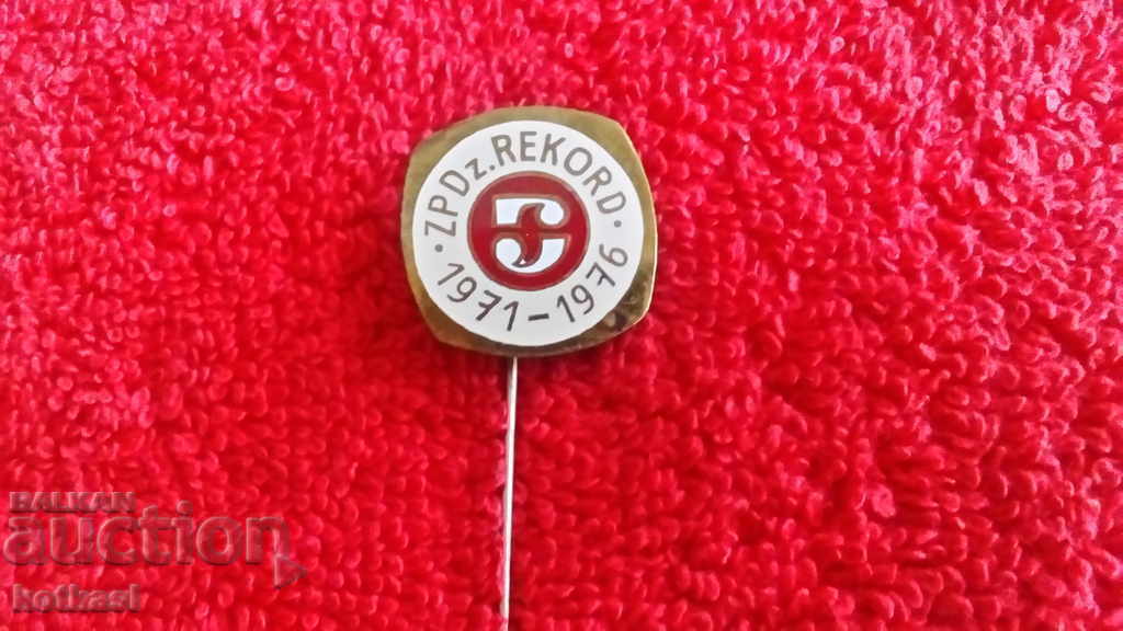 Old badge bronze pin enamel