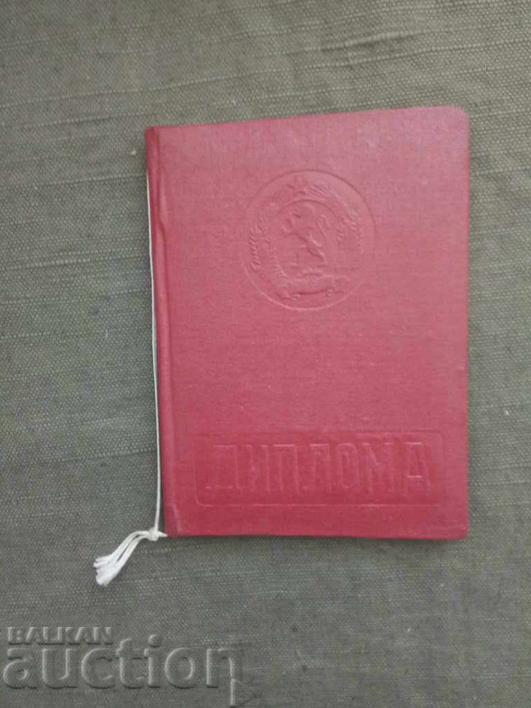 Actor's diploma NRB VITIZ Actor's diploma NRB VITIZ