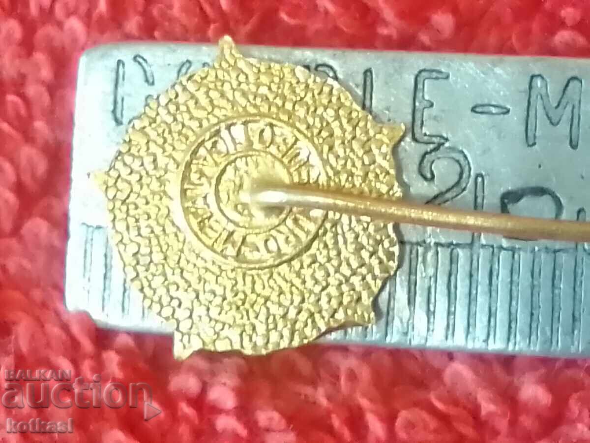 Auction Old metal bronze pin sports badge enamel Auction Old metal bronze pin sports badge enamel