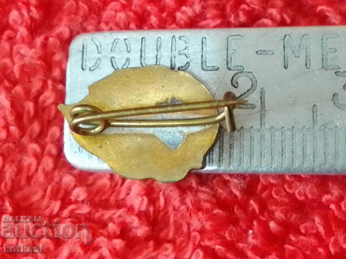 Old bronze enamel badge Romania USSR ARLUS flag with price 3.50 BGN | € 1.79 Old bronze enamel badge Romania USSR ARLUS flag with price 3.50 BGN | € 1.79