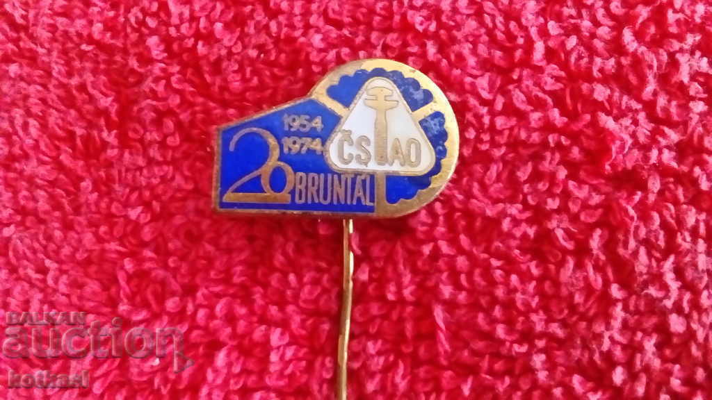 Auction Old Solid Bronze Pin Badge 1954 - 1974 Auction Old Solid Bronze Pin Badge 1954 - 1974