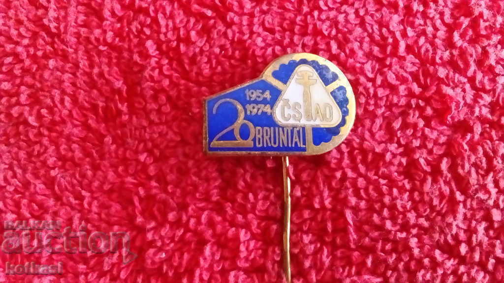 Delivery of Old Solid Bronze Pin Badge 1954 - 1974 Delivery of Old Solid Bronze Pin Badge 1954 - 1974