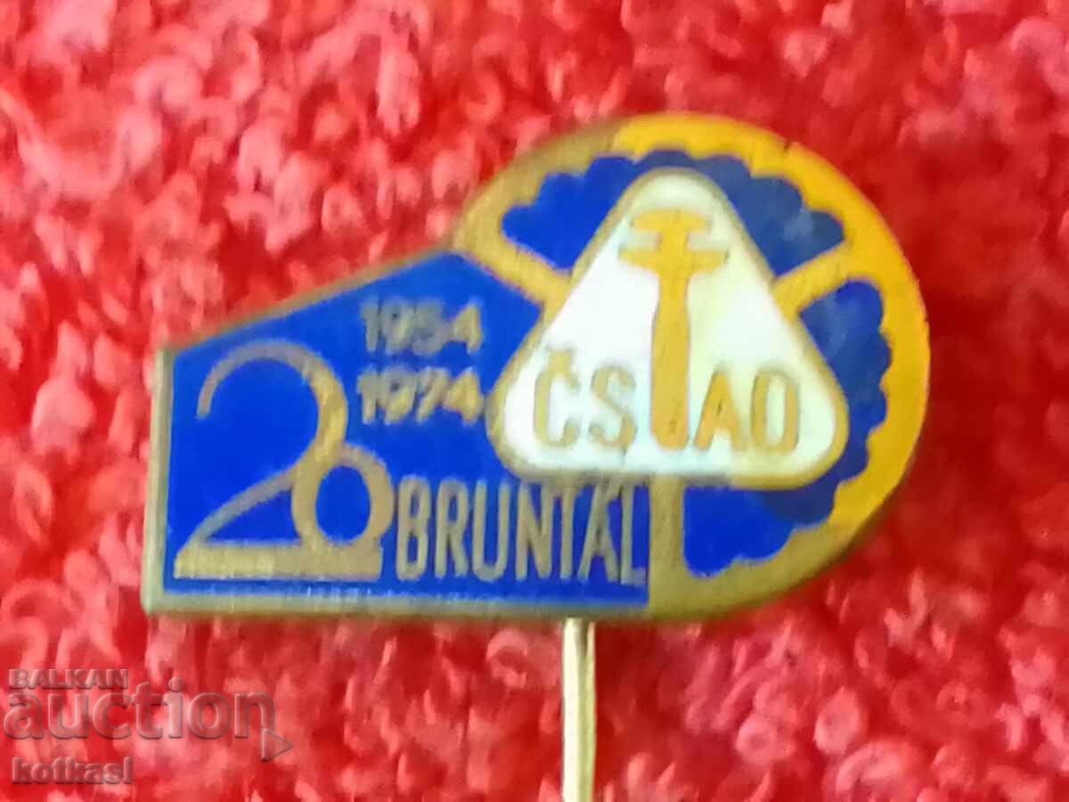 Old Solid Bronze Pin Badge 1954 - 1974 - 6 Old Solid Bronze Pin Badge 1954 - 1974 - 6