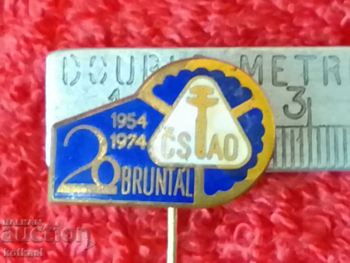 Old Solid Bronze Pin Badge 1954 - 1974 Old Solid Bronze Pin Badge 1954 - 1974