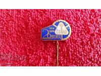Old Solid Bronze Pin Badge 1954 - 1974