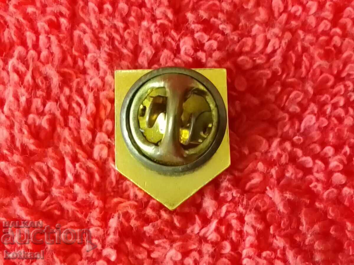 Delivery of Sports badge enamel Italy PANINI PANINI excellent Delivery of Sports badge enamel Italy PANINI PANINI excellent