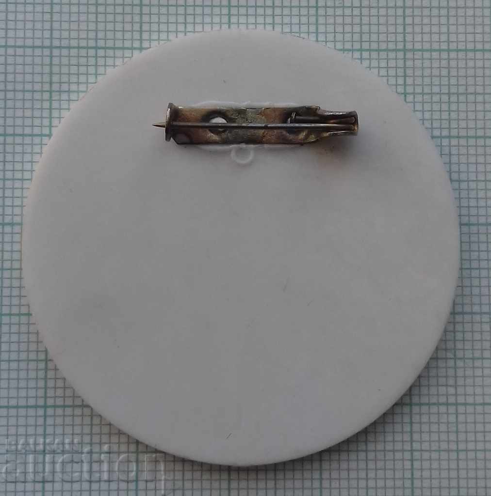 8575 Badges with price 0.30 BGN | € 0.15 8575 Badges with price 0.30 BGN | € 0.15