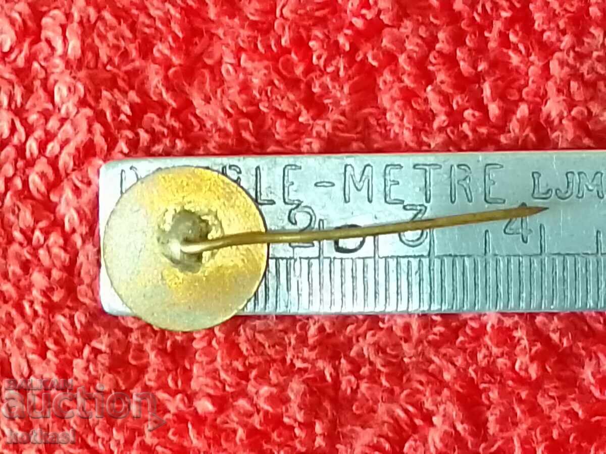 Old social badge bronze pin aviation Balkan with price 5.50 BGN | € 2.81 Old social badge bronze pin aviation Balkan with price 5.50 BGN | € 2.81