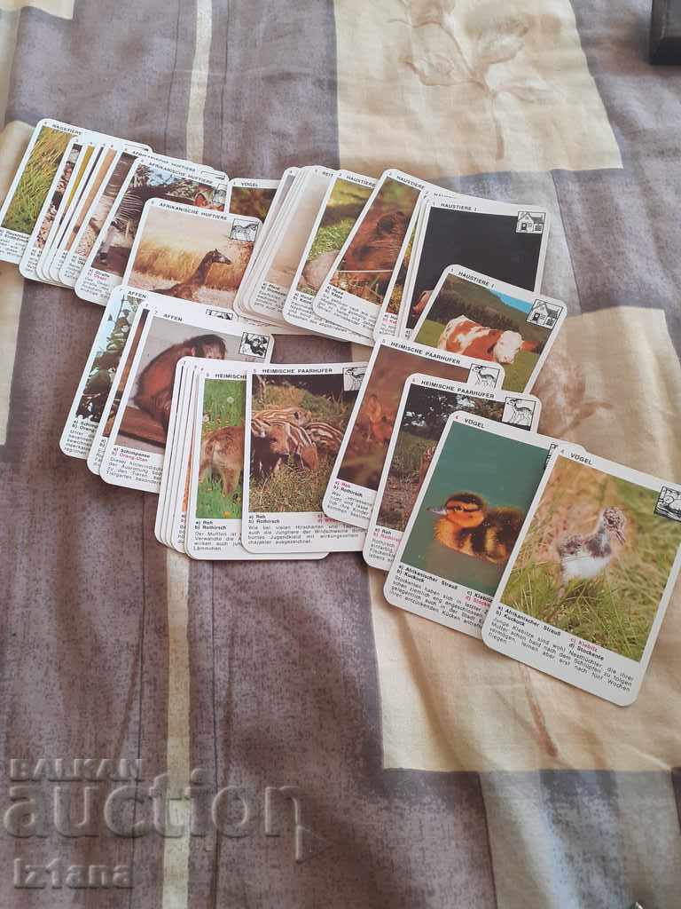 Auction  Old Piatnik playing cards