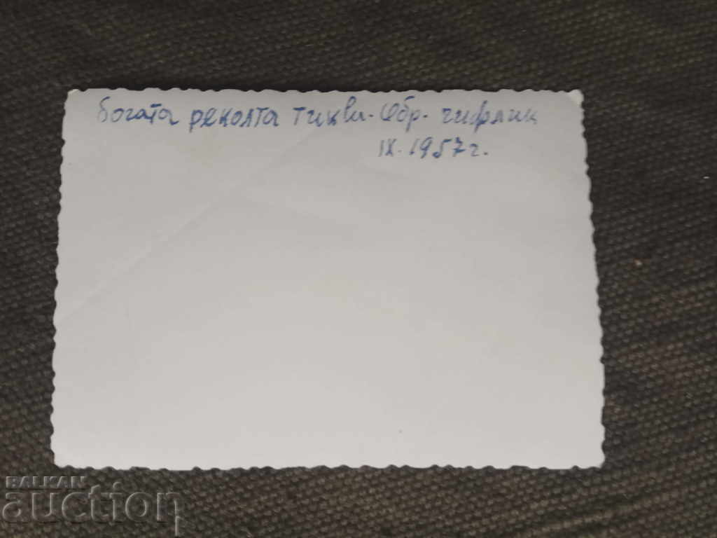 rich harvest of pumpkins September 1957 with price 10.00 BGN | € 5.11