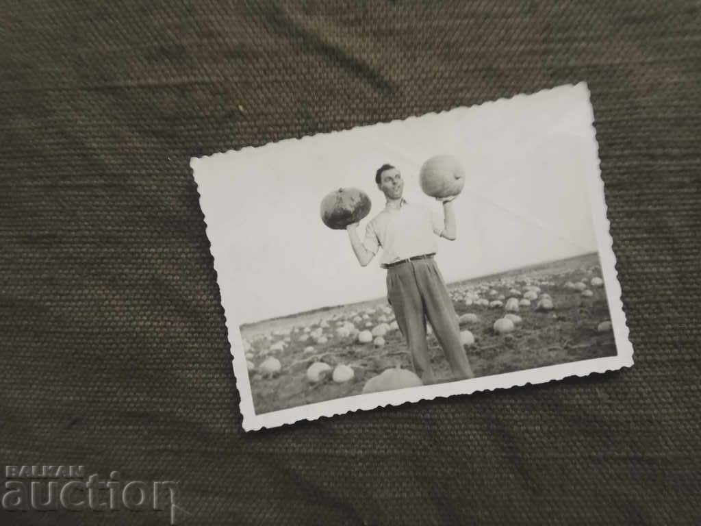 Recoltă bogată de dovleci, septembrie 1957 Recoltă bogată de dovleci, septembrie 1957
