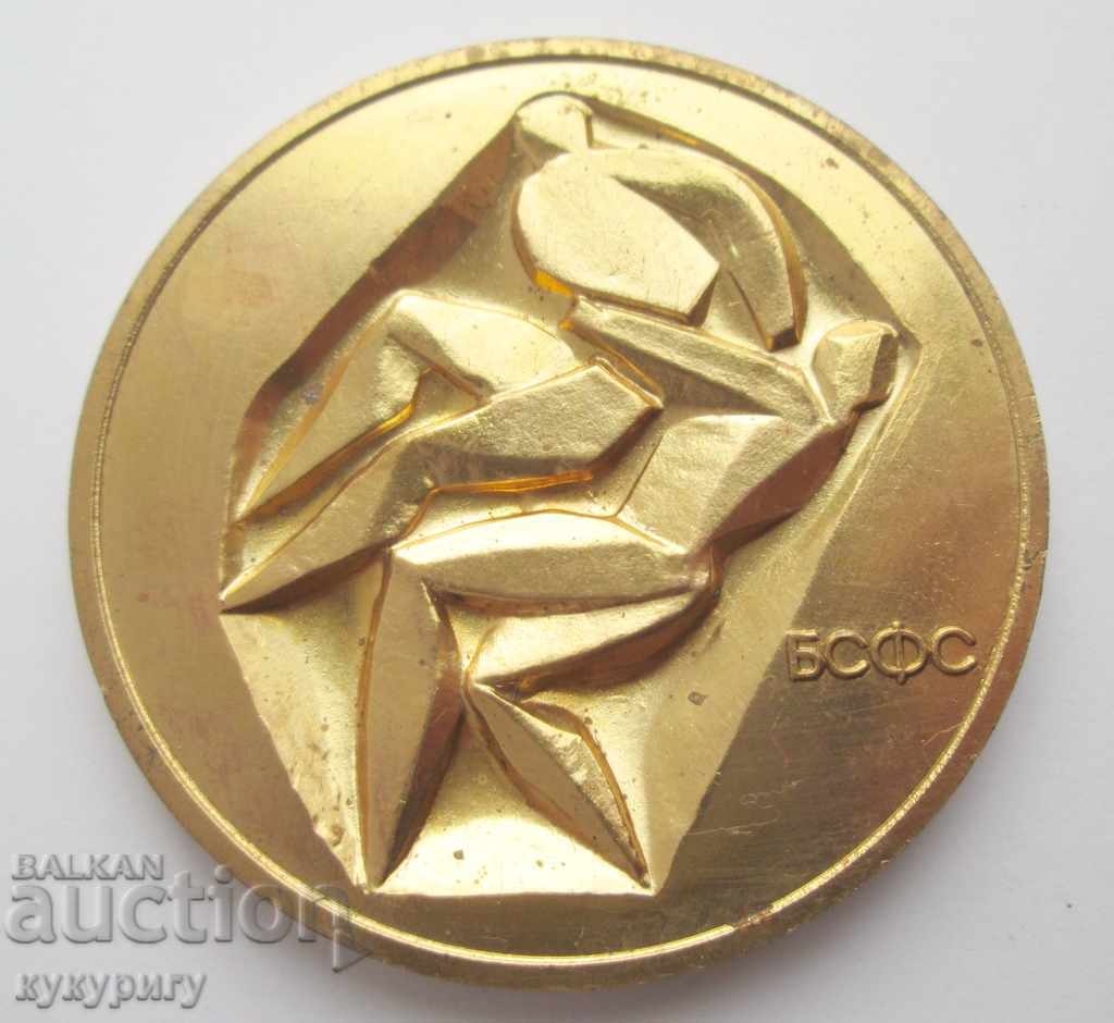 Rare old Soc plaque medal medal sign People's Struggle BSFS
