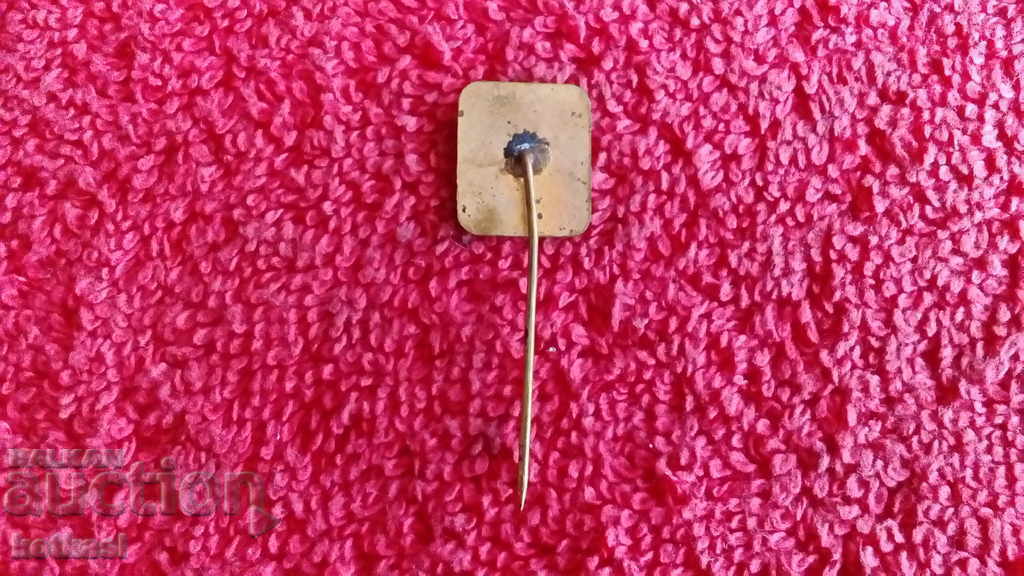 Auction Old badge bronze enamel pin CM VI RODINA excellent Auction Old badge bronze enamel pin CM VI RODINA excellent