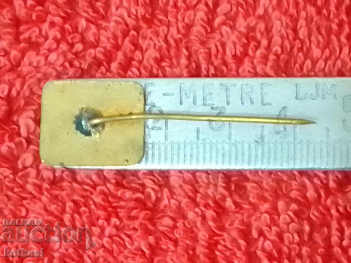 Delivery of Old badge bronze enamel pin CM VI RODINA excellent Delivery of Old badge bronze enamel pin CM VI RODINA excellent