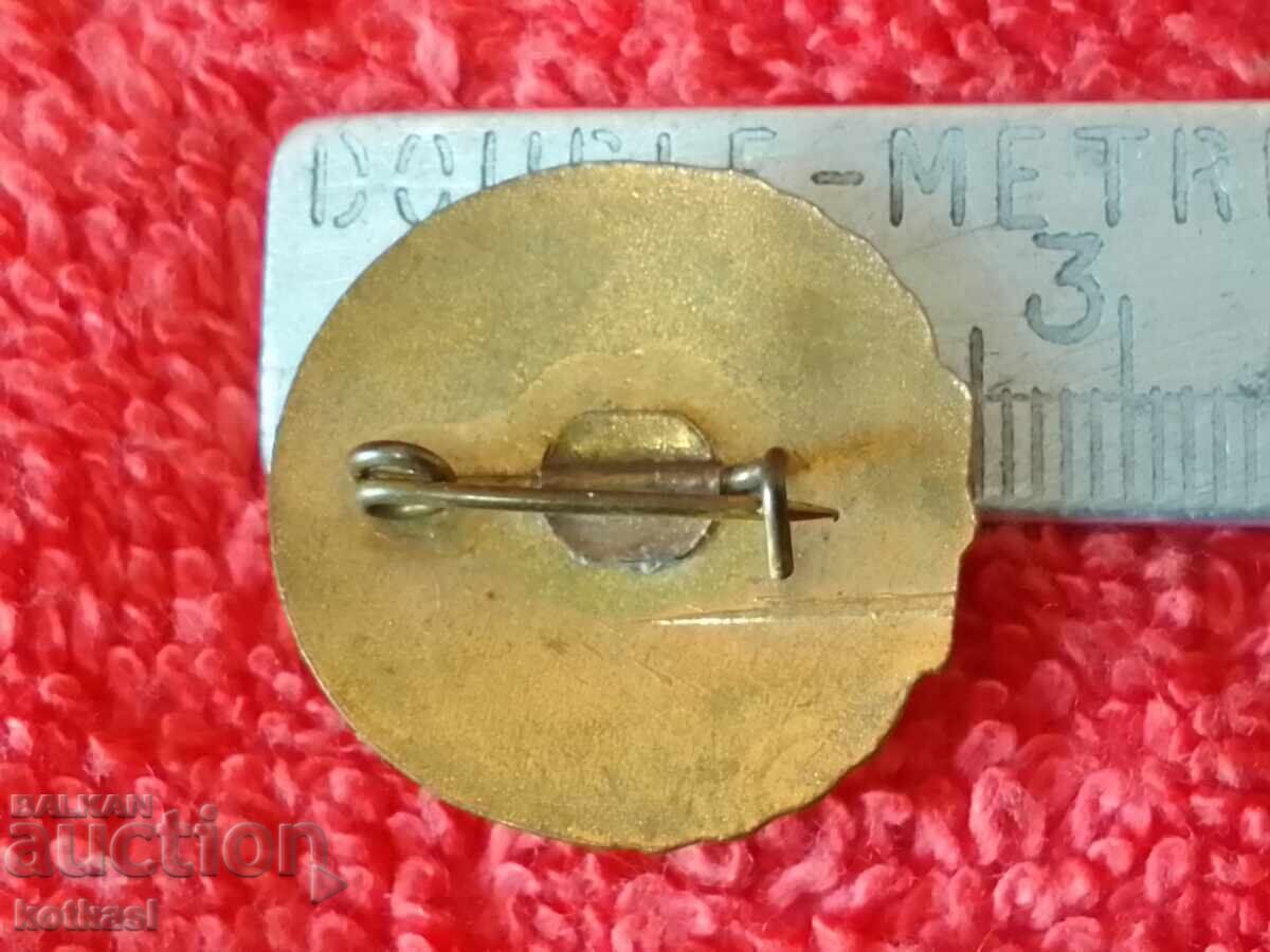 Old badge bronze gilt Friend of the book Romania with price 12.50 BGN | € 6.39 Old badge bronze gilt Friend of the book Romania with price 12.50 BGN | € 6.39