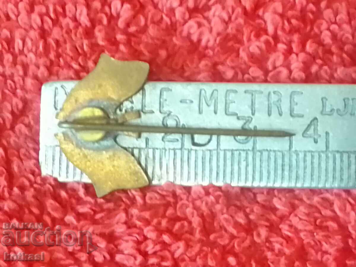 Old Metal Bronze Pin Badge Poland Hungary Flag with price 10.50 BGN | € 5.37 Old Metal Bronze Pin Badge Poland Hungary Flag with price 10.50 BGN | € 5.37