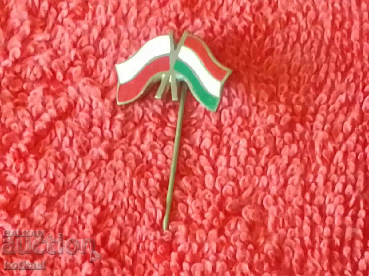 Delivery of Old Metal Bronze Pin Badge Poland Hungary Flag Delivery of Old Metal Bronze Pin Badge Poland Hungary Flag