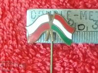 Vechi Metal Bronz Pin Badge Polonia Ungariei