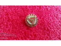 Old bronze badge DOMESTIC FRONT