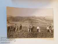 Fotografie veche a câmpului din satul U. Koria
