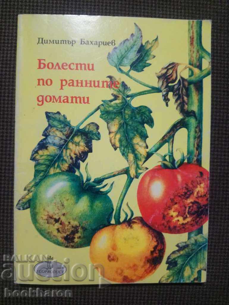 Димитър Бахариев: Болести по ранните домати
