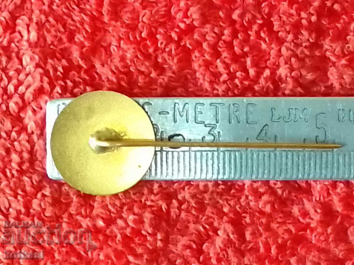 Old social badge bronze pin enamel USSR USSR with price 25.50 BGN | € 13.04 Old social badge bronze pin enamel USSR USSR with price 25.50 BGN | € 13.04