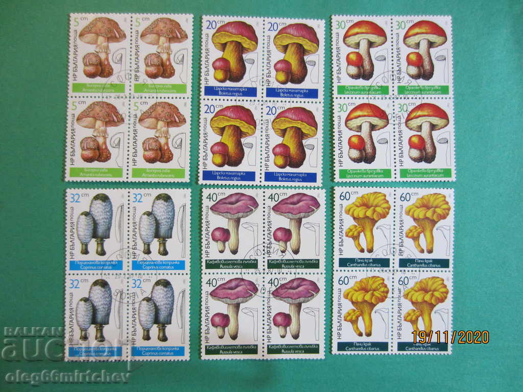 Bulgaria 1987 Flora Mushrooms .BK№3573 / 8 BOX distrusă.