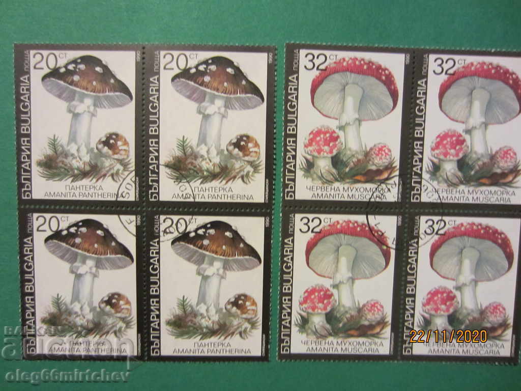 Bulgaria 1991 Poisonous mushrooms BK№3901 / 6 destroyed. KARE with price 1.20 BGN | € 0.61 Bulgaria 1991 Poisonous mushrooms BK№3901 / 6 destroyed. KARE with price 1.20 BGN | € 0.61