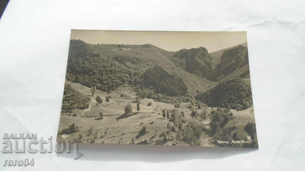 THORN - BEAR DOL with price 13.49 BGN | € 6.90 THORN - BEAR DOL with price 13.49 BGN | € 6.90